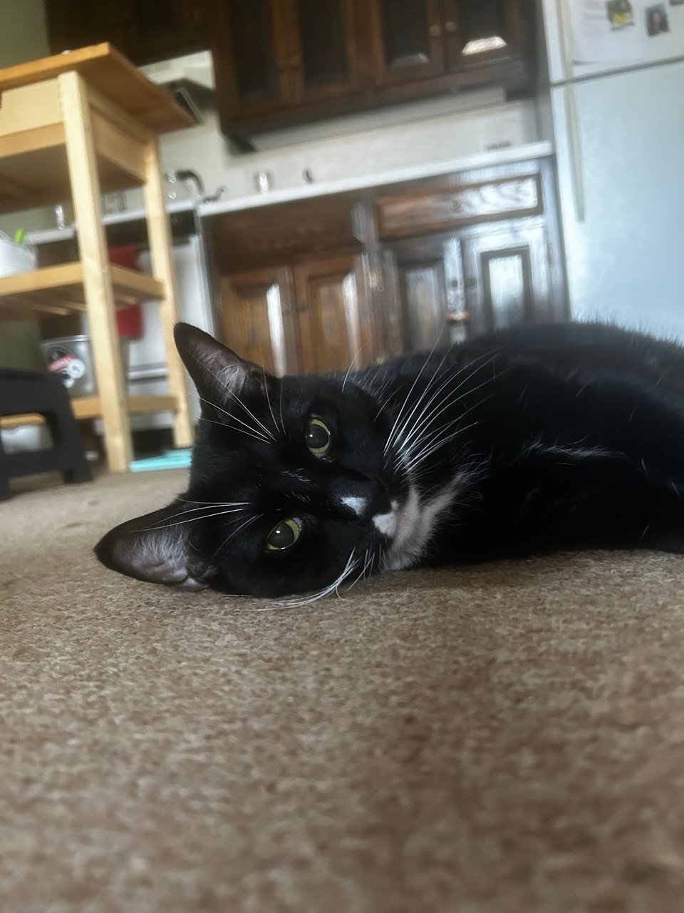 photo_2025-10-05_12-52-18