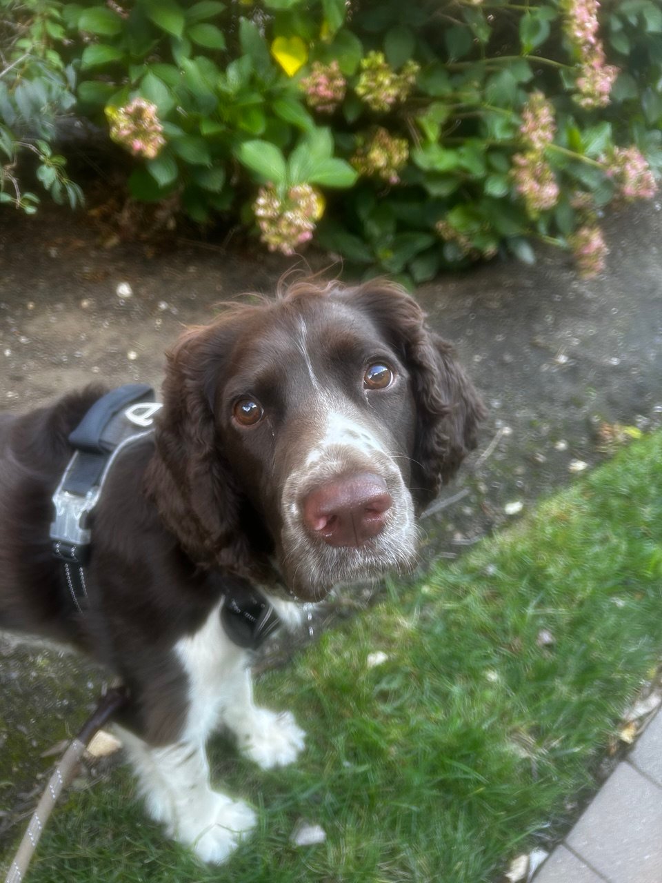 photo_2025-10-05_12-52-26