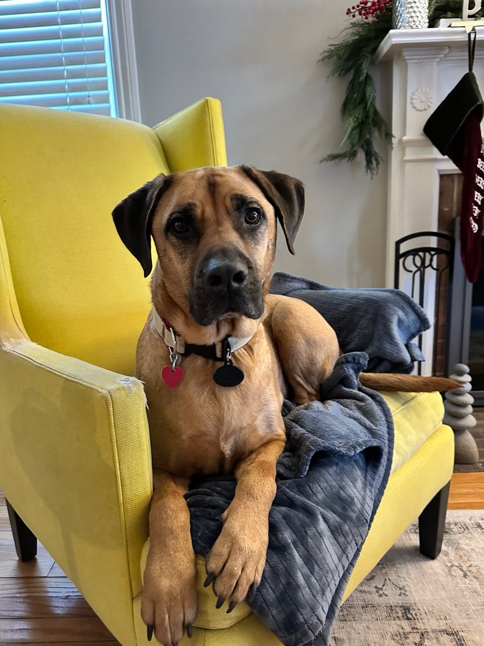 photo_2025-10-05_12-52-34