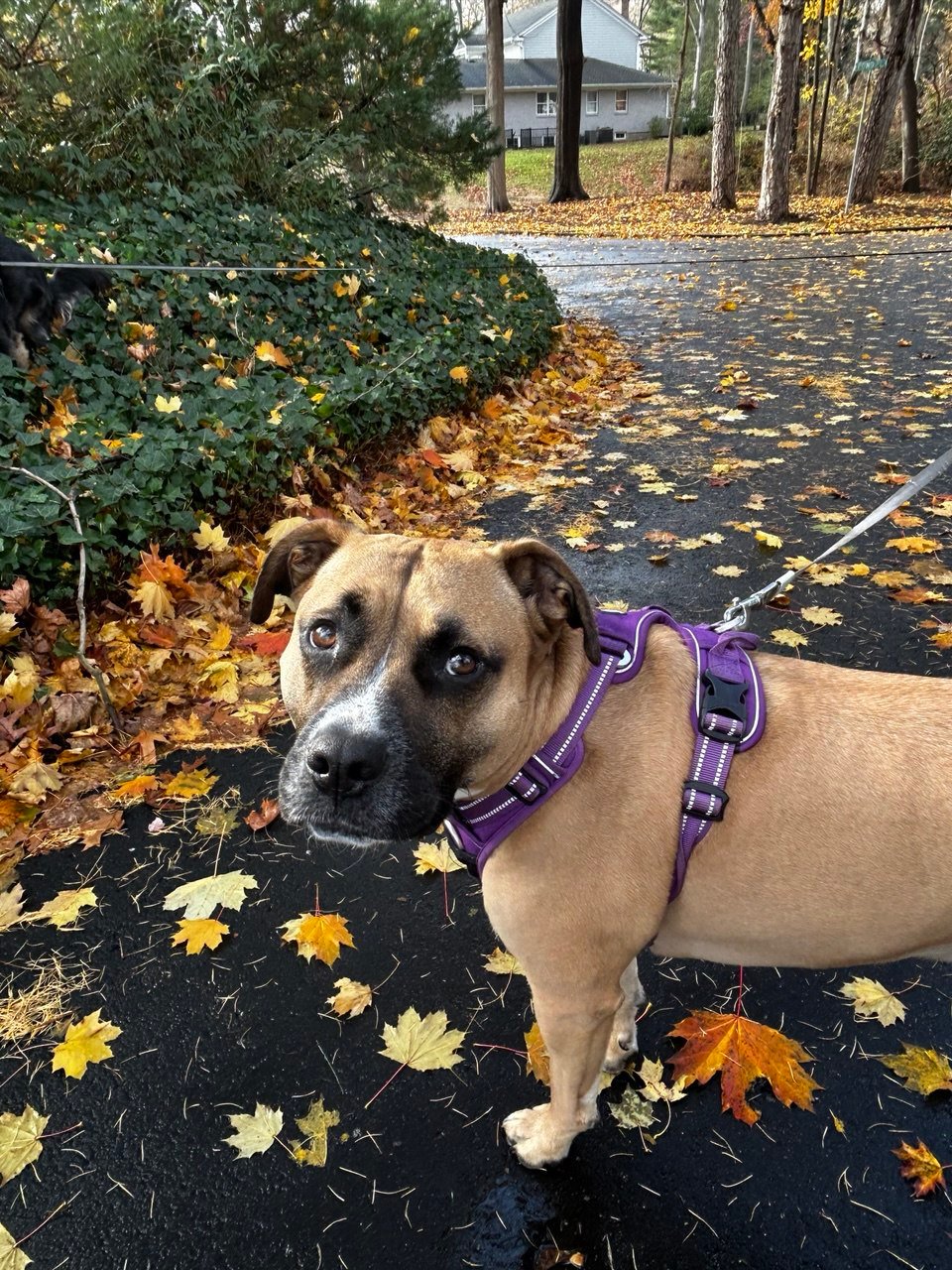 photo_2025-10-05_12-52-37