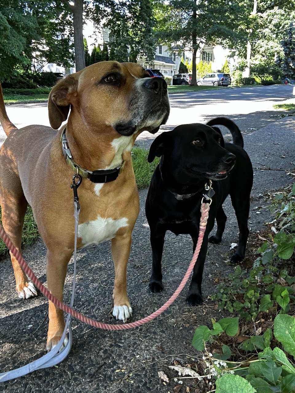 photo_2025-10-05_12-52-48