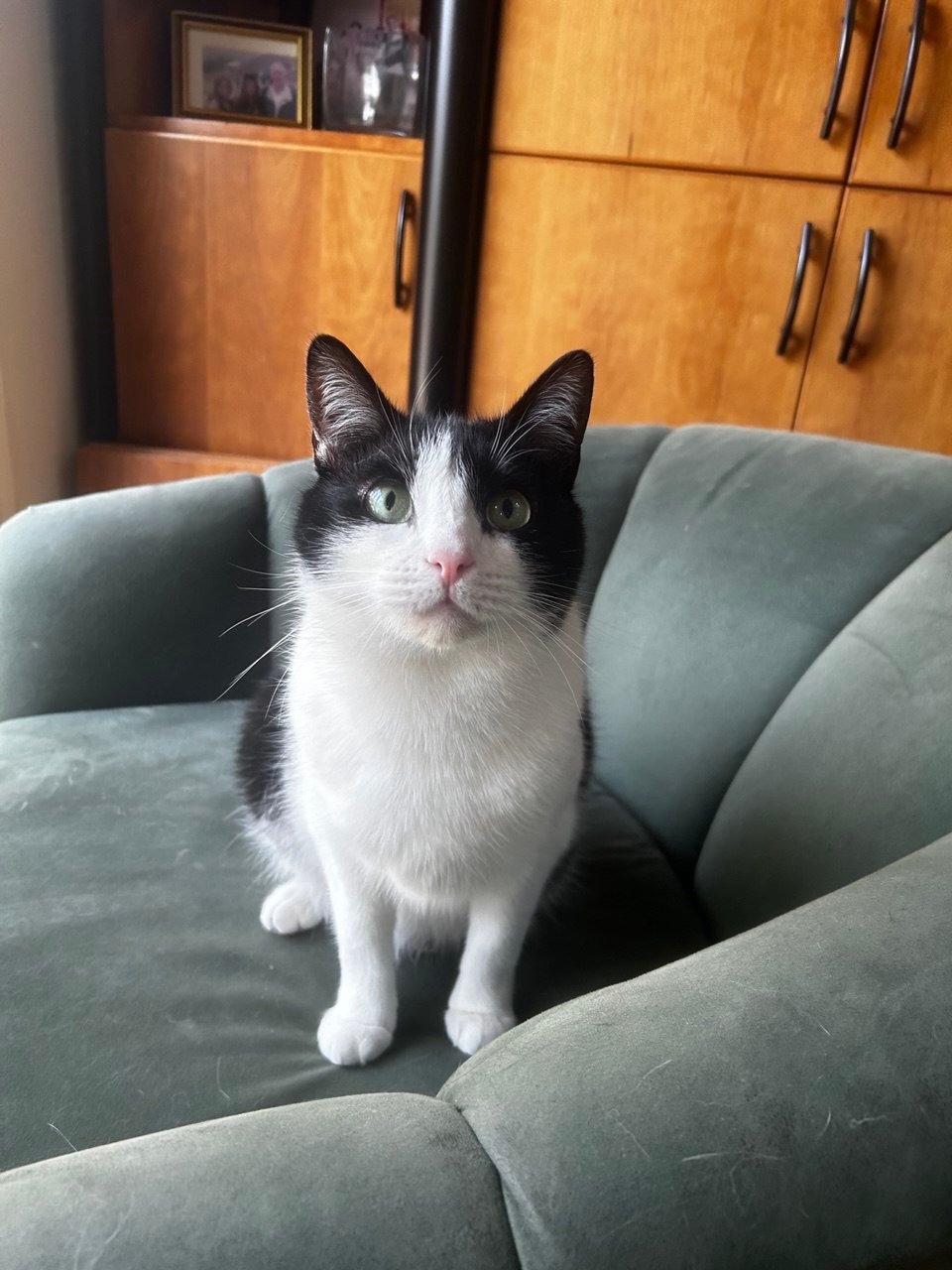 photo_2025-10-05_12-52-53