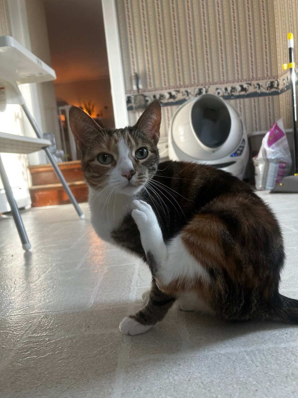 photo_2025-10-05_12-53-02