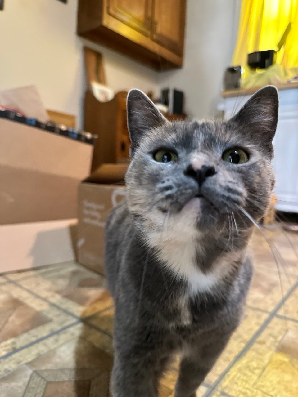 photo_2025-10-05_12-53-25