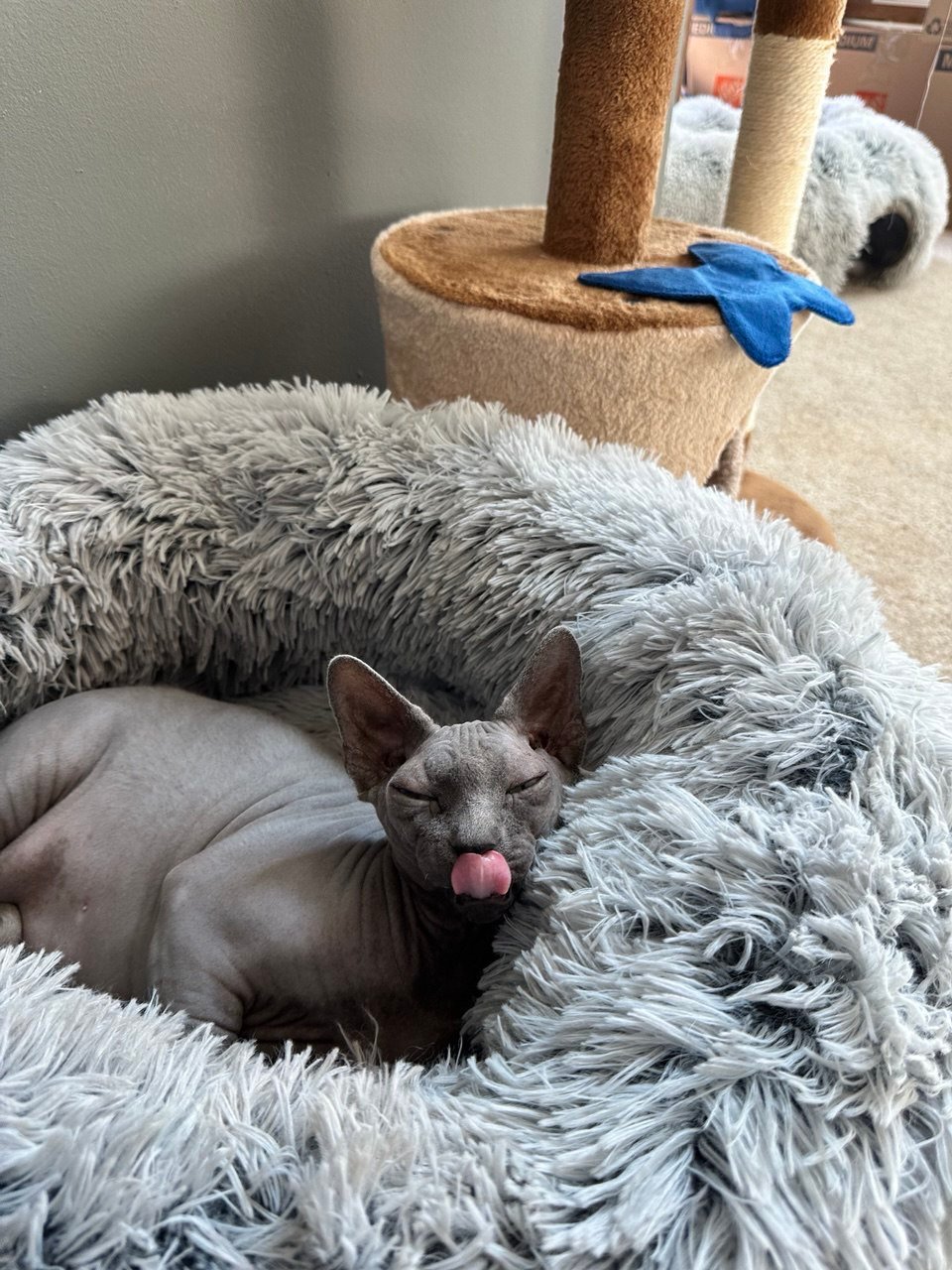 photo_2025-10-05_12-53-37