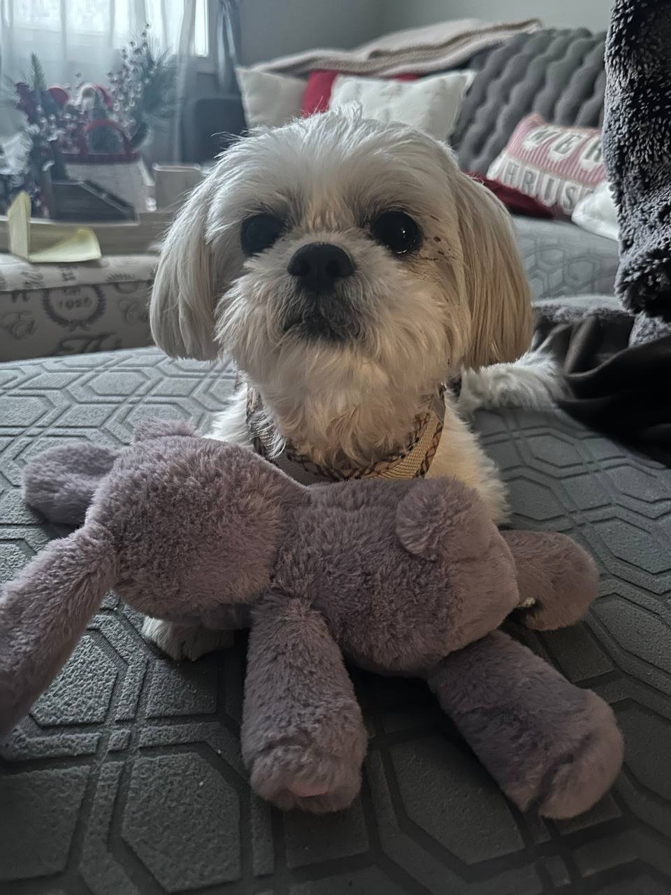 photo_2025-10-05_12-53-48